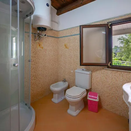 Διαμέρισμα Jungle *